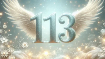 113 Angel Number