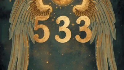 533 Angel Number Meaning